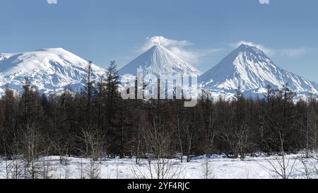 Landschaft Panorama Winter Berglandschaft der Kamtschatka Halbinsel: Eruption aktiv Klyutschevskaja Sopka (Klyuchevskoy Vulkan) und andere schneebedeckte felsige vo Stockfoto