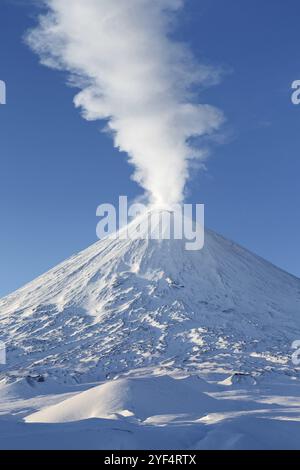 Winterliche Vulkanlandschaft: Höchster aktiver Vulkan Eurasiens, Klyuchevskoy-Vulkan (Klyuchevskaja Sopka), Blick auf die Spitze des Vulkanausbruchs: Emission f Stockfoto