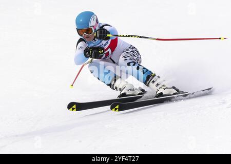 Internationaler Skiverband Meisterschaft, russischer Skisportcup der Frauen Riesenslalom. Skifahrer Veronika Gavrish Murmansk Skifahren den Berg hinunter Stockfoto