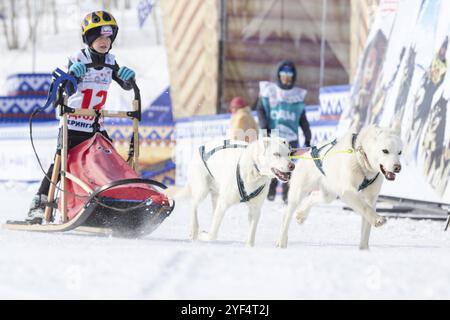 Weibliche Kinder-Schlittenhund-Mannschaft, die auf schneebedeckter Renndistanz während Kamchatka Kinderwettbewerben Hundeschlittenrennen Dyulin (Beringia) läuft. Petropavlovs Stockfoto