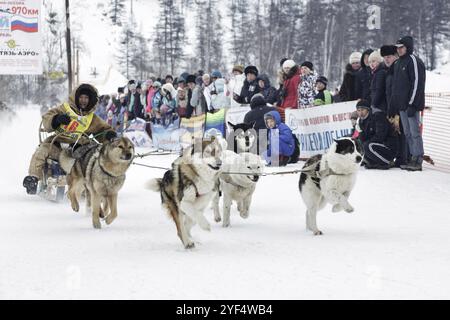 ESSO VILLAGE, KAMTSCHATKA, RUSSLAND, 8. MÄRZ 2013: Running Hundeschlittenteam Kamtschatka Musher Valery Chuprin. Kamtschatka extremer Schlittenhund Racing Beringia. E Stockfoto