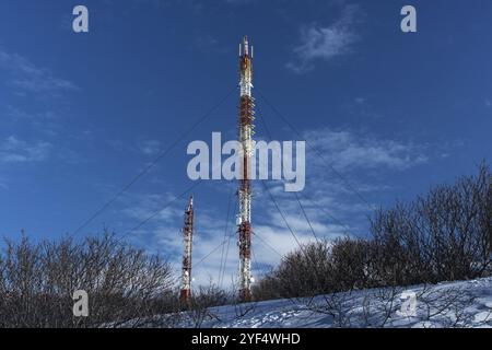 Mitteilungen Turm mit Antennen drahtloser Kommunikationswege wie Mobiltelefon, Handy, Tower Tower, Tel. Pol, von Bäumen im Winter umgeben Stockfoto