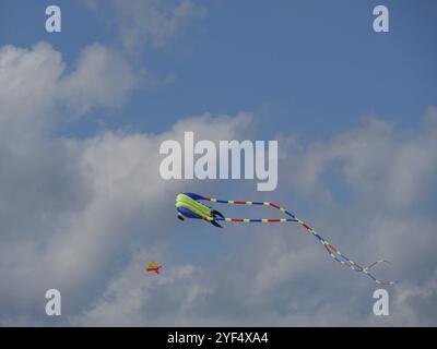 Farbenfroher Drachen mit langen Schwanzfliegen hoch im blauen Himmel, Baltrum, Ostfrielsand, Nordsee, deutschland Stockfoto