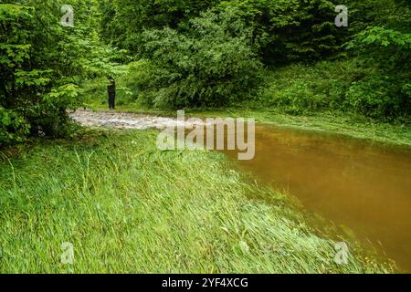 Hochwasser auf einer Weide für Wasserbüffel aufgrund starker Regenfälle und Starkregens, Leutkirch, Baden Württemberg, Deutschland Hochwasser im Allgäu *** Hochwasser auf einer Weide für Wasserbüffel aufgrund starker Regenfälle und Starkregens, Leutkirch, Baden Württemberg, Deutschland Hochwasser im Allgäu Stockfoto