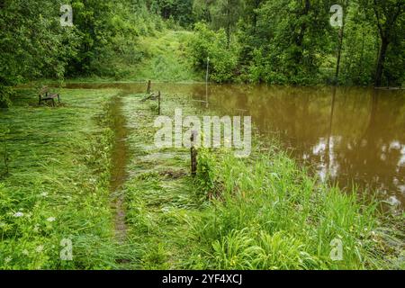 Hochwasser auf einer Weide für Wasserbüffel aufgrund starker Regenfälle und Starkregens, Leutkirch, Baden Württemberg, Deutschland Hochwasser im Allgäu *** Hochwasser auf einer Weide für Wasserbüffel aufgrund starker Regenfälle und Starkregens, Leutkirch, Baden Württemberg, Deutschland Hochwasser im Allgäu Stockfoto