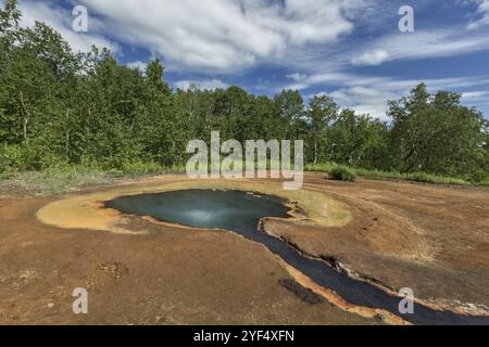 Wunderschöne Sommerlandschaft Kamtschatka: Blick auf den heißen Quellengreif bei Ivanov, im Naturpark Nalychevo und den von ihm fließenden Travertinbach. Kamcha Stockfoto
