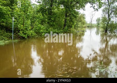 Hochwasser auf einer Weide für Wasserbüffel aufgrund starker Regenfälle und Starkregens, Leutkirch, Baden Württemberg, Deutschland Hochwasser im Allgäu *** Hochwasser auf einer Weide für Wasserbüffel aufgrund starker Regenfälle und Starkregens, Leutkirch, Baden Württemberg, Deutschland Hochwasser im Allgäu Stockfoto