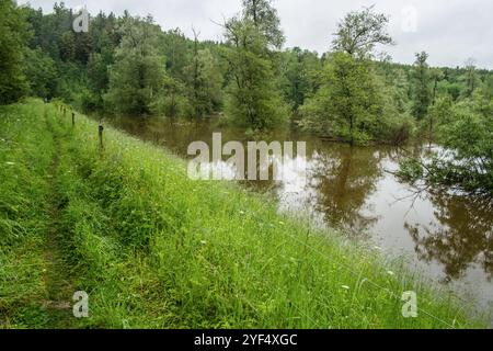 Hochwasser auf einer Weide für Wasserbüffel aufgrund starker Regenfälle und Starkregens, Leutkirch, Baden Württemberg, Deutschland Hochwasser im Allgäu *** Hochwasser auf einer Weide für Wasserbüffel aufgrund starker Regenfälle und Starkregens, Leutkirch, Baden Württemberg, Deutschland Hochwasser im Allgäu Stockfoto