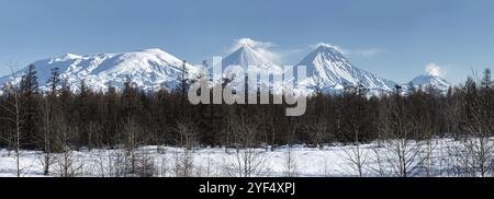 Panoramablick auf die winterliche Vulkanlandschaft der Kamtschatka Halbinsel: Blick auf den aktiven Klyuchevskoy Vulkan und andere schneebedeckte felsige Vulkane von Kly Stockfoto