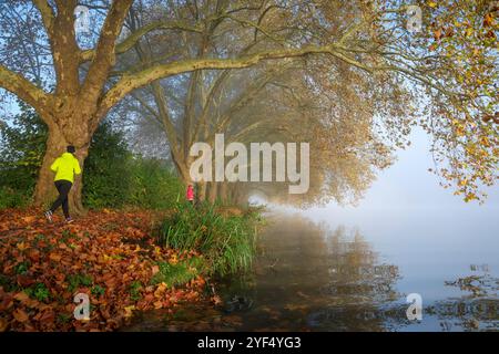 Essen, Nordrhein-Westfalen, Deutschland - Goldener Herbst am Baldeney-See. Radfahrer und Jogger im Morgennebel auf dem Seeweg unter dem Flugzeug Stockfoto