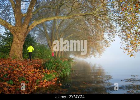 Essen, Nordrhein-Westfalen, Deutschland - Goldener Herbst am Baldeney-See. Radfahrer und Jogger im Morgennebel auf dem Seeweg unter dem Flugzeug Stockfoto