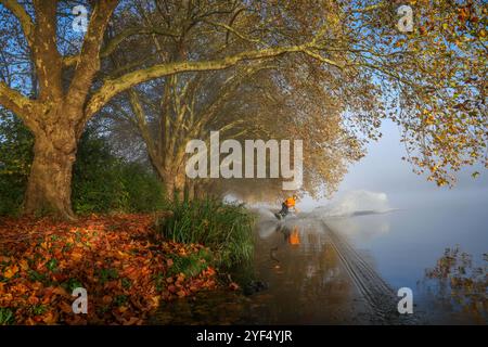 Essen, Nordrhein-Westfalen, Deutschland - Goldener Herbst am Baldeney-See. Wakeboarder am Morgen Nebel auf dem Seeweg unter Platanen gleiten Stockfoto