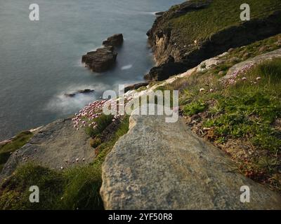 Auf dem Bild ist Tintagel, ein Dorf an der Küste von Cornwall, Großbritannien Stockfoto