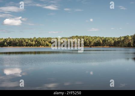 Kleiner Waldsee 'Ummis' in Lilaste, Lettland am sonnigen Herbsttag Stockfoto