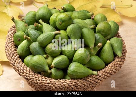 Korb mit frisch gepflückten grünen, unreifen Feigen aus nächster Nähe Stockfoto