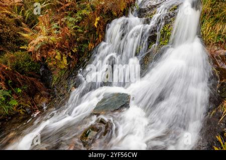 Wasser fließt im Fluss, Carding Mill Valley, Shropshire, England, Großbritannien Stockfoto