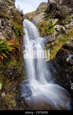 Wasserfall im Carding Mill Valley, Shropshire, England, Großbritannien Stockfoto