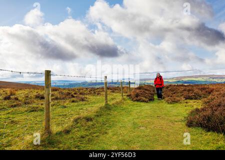 Walker auf Long Mynd, Shropshire, England, Großbritannien Stockfoto