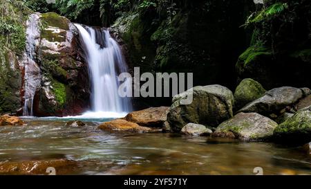 Ein kleiner Wasserfall fließt schnell inmitten eines üppigen tropischen Waldes, umgeben von moosbedeckten großen Felsen und grünen Bäumen. Stockfoto