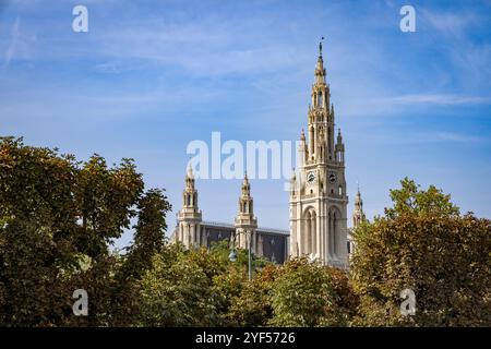 Blick auf das Wiener Rathaus, Österreich, Europa. Stockfoto