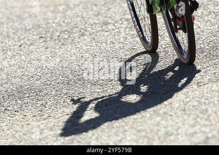 Pontevedra, Spanien. November 2024. Der Schatten eines Fahrers beim U23-Rennen der Männer bei der Europameisterschaft Cyclocross-Radfahren in Pontevedra, Spanien, am Sonntag, den 3. November 2024. BELGA FOTO DAVID PINTENS Credit: Belga News Agency/Alamy Live News Stockfoto