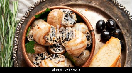 Teller mit gebackenen Schnecken gefüllt mit Knoblauchbutter auf hellem Hintergrund. Draufsicht. Stockfoto