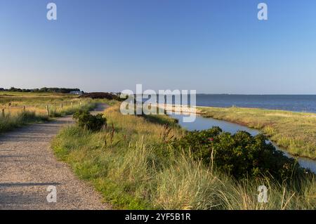 Strand in Munkmarsch, Sylt, Schleswig Holstein, Deutschland Stockfoto