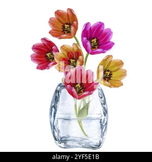 Strauß aus rosa, orange, gelben Tulpen in einer transparenten Glasvase. Zusammensetzung von Aquarellblumen isoliert auf weißem Hintergrund. Illustration Clipa Stockfoto