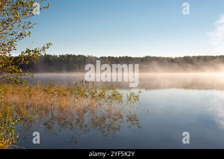 Kleiner Waldsee 'Ummis' in Lilaste, Lettland, bei Nebel im Herbst Stockfoto