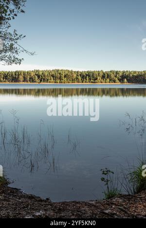 Kleiner Waldsee 'Ummis' in Lilaste, Lettland am sonnigen Herbsttag Stockfoto