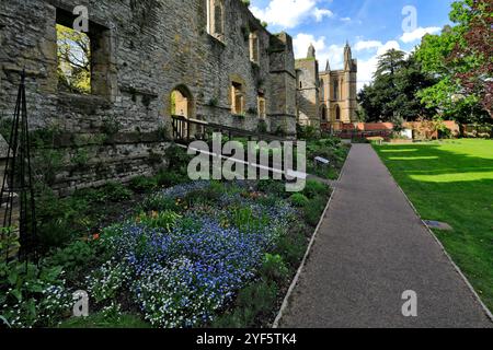 The Palace Gardens at Southwell Minster, Southwell Market Town, Nottinghamshire, England, Großbritannien Stockfoto