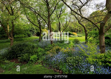 The Palace Gardens at Southwell Minster, Southwell Market Town, Nottinghamshire, England, Großbritannien Stockfoto