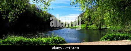 Blick auf den See in der Creswell Crags Prehistoric Gorge, Nottinghamshire, England, Großbritannien Stockfoto