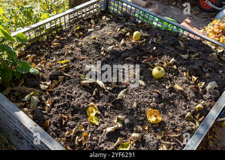 Ein voller Kompoststapel im Garten für den Abfall Stockfoto