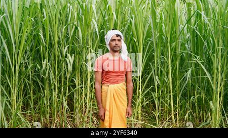 Indischer Bauer in weißem Turban mit überkreuzten Händen, der vor dem grünen Zuckerrohrfeld steht und mit ernstem Gesicht in die Kamera schaut. Stockfoto