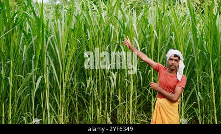 Indischer Bauer in weißem Turban mit überkreuzten Händen, der vor dem grünen Zuckerrohrfeld steht und mit ernstem Gesicht in die Kamera schaut. Stockfoto