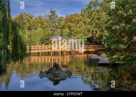 Szczytnicki Park Japanischer Garten im Herbst Breslau Niederschlesien Polen Stockfoto