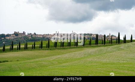 Panoramablick auf Montalcino, mittelalterliche italienische Stadt, berühmt für ihren Wein. Toskana, Italien Stockfoto