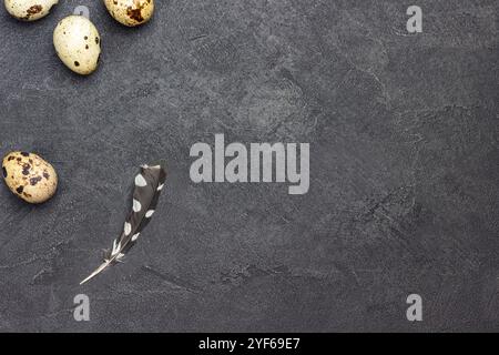 Wachteleier und Federn. Schwarzer Hintergrund. Flache Lagen. Kopierbereich Stockfoto