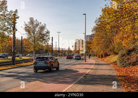 Deutschland Berlin 3. November 2024. Das Auto fährt die Straße entlang. Die Straße ist von Bäumen gesäumt, es gibt mehrere Autos und ein Fahrrad auf der Straße. Stockfoto
