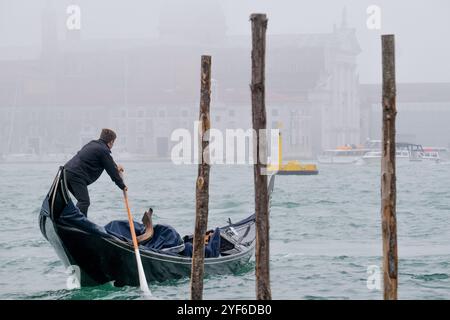 Blick auf das San Marco Becken während einer nebeligen Herbstzeit Stockfoto