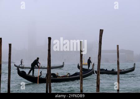 Blick auf das San Marco Becken während einer nebeligen Herbstzeit Stockfoto