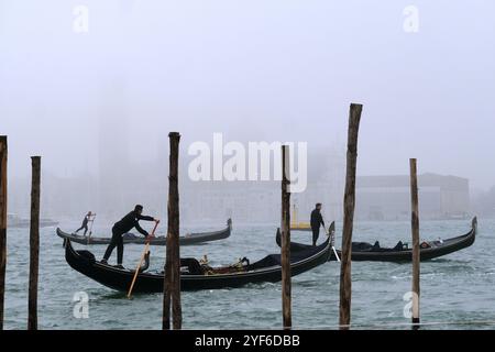 Blick auf das San Marco Becken während einer nebeligen Herbstzeit Stockfoto