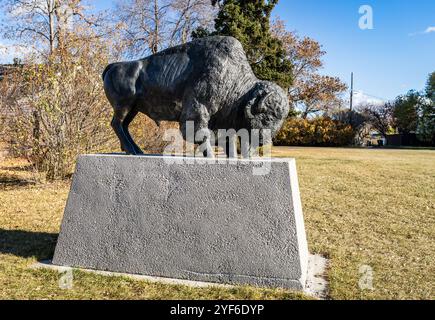 Edmonton, Kanada, 24. Oktober 2024: Untitled Bronze-Skulptur von Büffeln, geschaffen von Lloyd Pinay (1994), ehrt Dr. Anne Anderson Leben und Arbeit Stockfoto