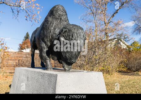 Edmonton, Kanada, 24. Oktober 2024: Untitled Bronze-Skulptur von Büffeln, geschaffen von Lloyd Pinay (1994), ehrt Dr. Anne Anderson Leben und Arbeit Stockfoto