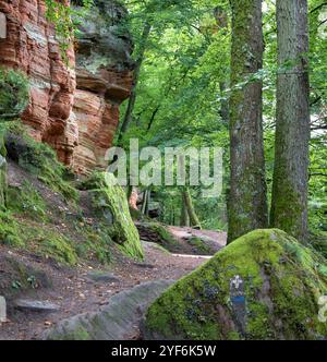 Ein schmaler Pfad schlängelt sich entlang des Altschlossfelsens, einer beeindruckenden Sandsteinformation im Pfälzerwald. Stockfoto