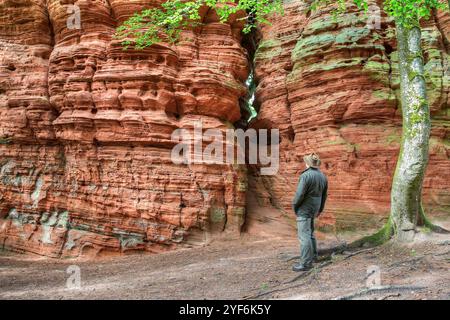 Ein Wanderer steht fasziniert von der imposanten Sandsteinformation des Altschlossfelsens im Pfälzerwald. Stockfoto