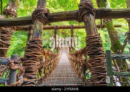 Iya-Tal, Tokushima, Japan an der Kazurabashi-Brücke. Obwohl die Brücke regelmäßig wieder aufgebaut wurde, reicht die Geschichte der Brücke auf mehr als 800 Jahre zurück. Stockfoto