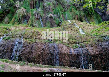 Üppiges Grün umgibt kaskadierende Wasserfälle im historischen Monasterio de Piedra Park, der Ruhe und natürliche Schönheit ausstrahlt. Stockfoto
