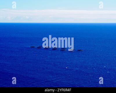 Fischfarmen liegen am weiten Ozean und erzeugen ein rhythmisches Muster unter einem klaren blauen Himmel, das die Interaktion zwischen Natur und innen unterstreicht Stockfoto